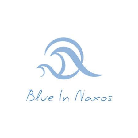 Blue In Naxos Hotel Naxos City ภายนอก รูปภาพ